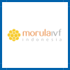 morula ivf